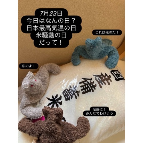 小豆カイロ　ねこマッチョ(中)　※お色お任せ(アトリエ白鯨さん)のメインイメージ